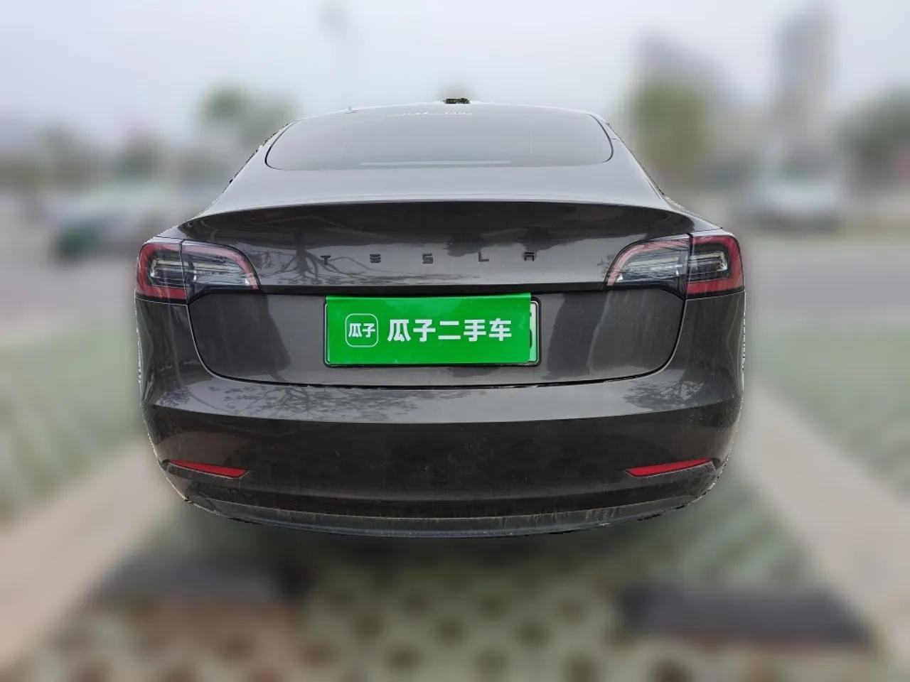 Tesla Model 3 2021 Revised Version Standard Range Rear-Wheel Drive Upgraded Edition 3D1 — миниатюра 5