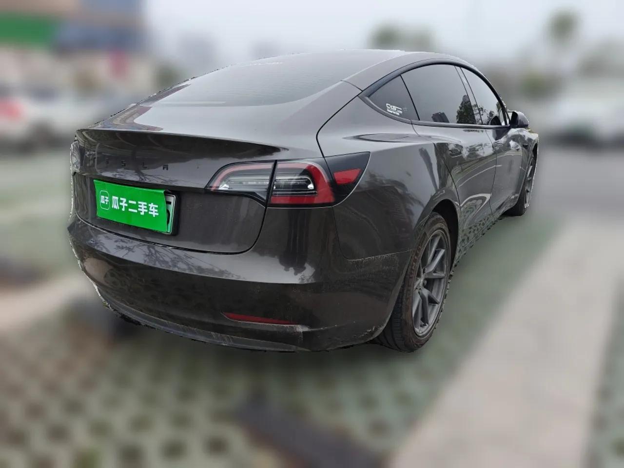 Tesla Model 3 2021 Revised Version Standard Range Rear-Wheel Drive Upgraded Edition 3D1 — миниатюра 6