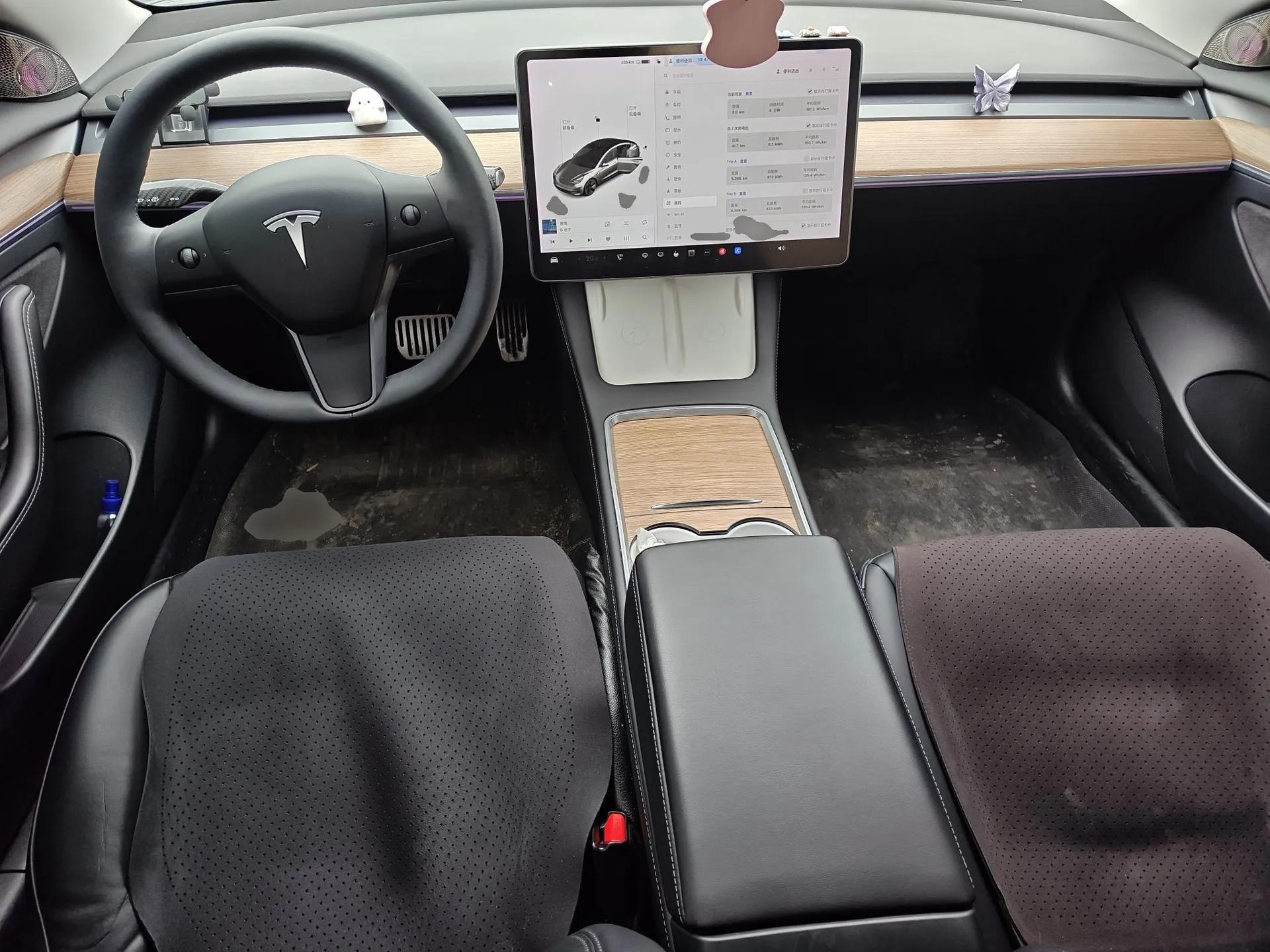 Tesla Model 3 2021 Revised Version Standard Range Rear-Wheel Drive Upgraded Edition 3D1 — миниатюра 10