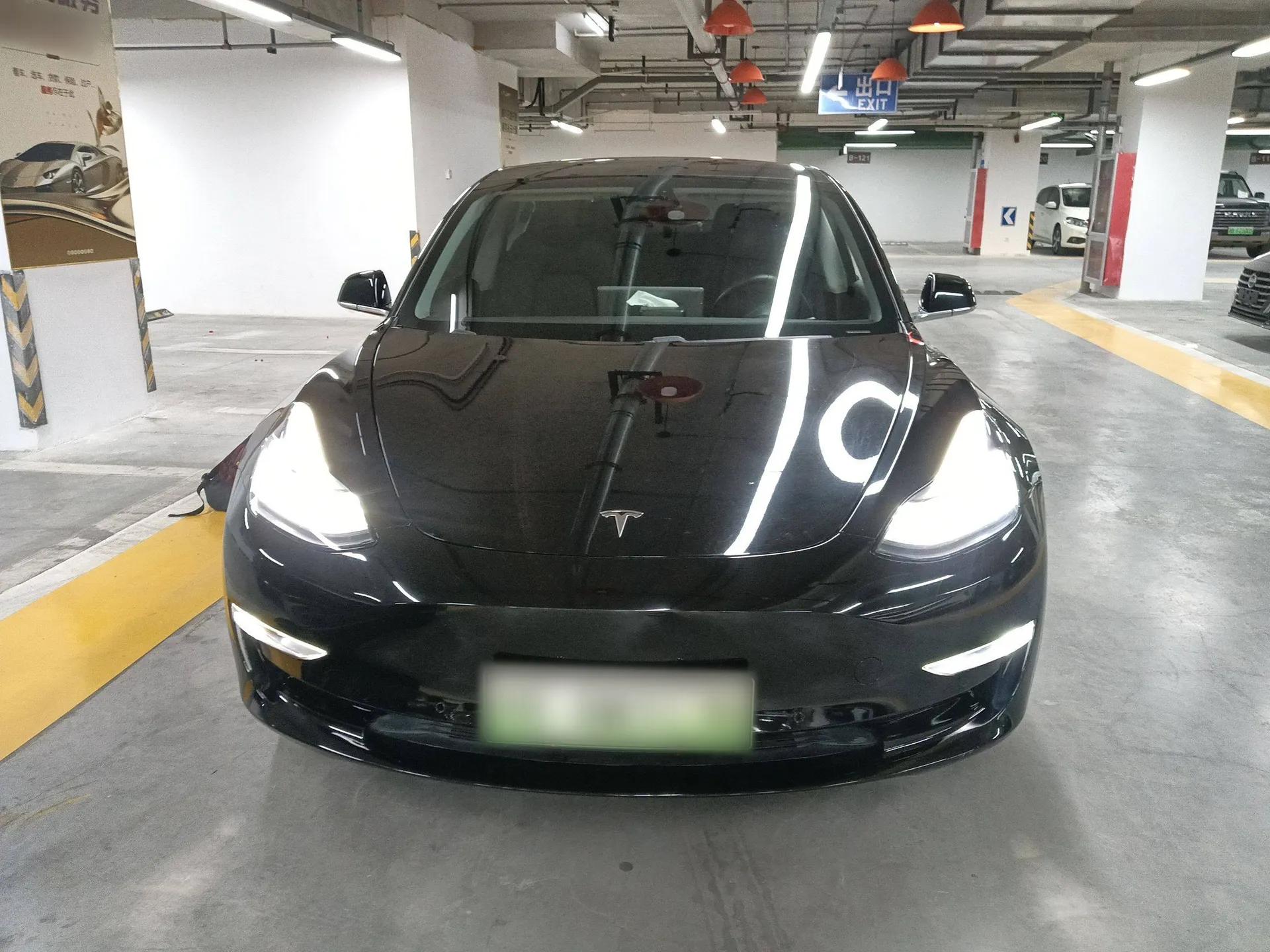 Tesla Model 3 2019 Long-Range Rear-Wheel-Drive Version — миниатюра 3