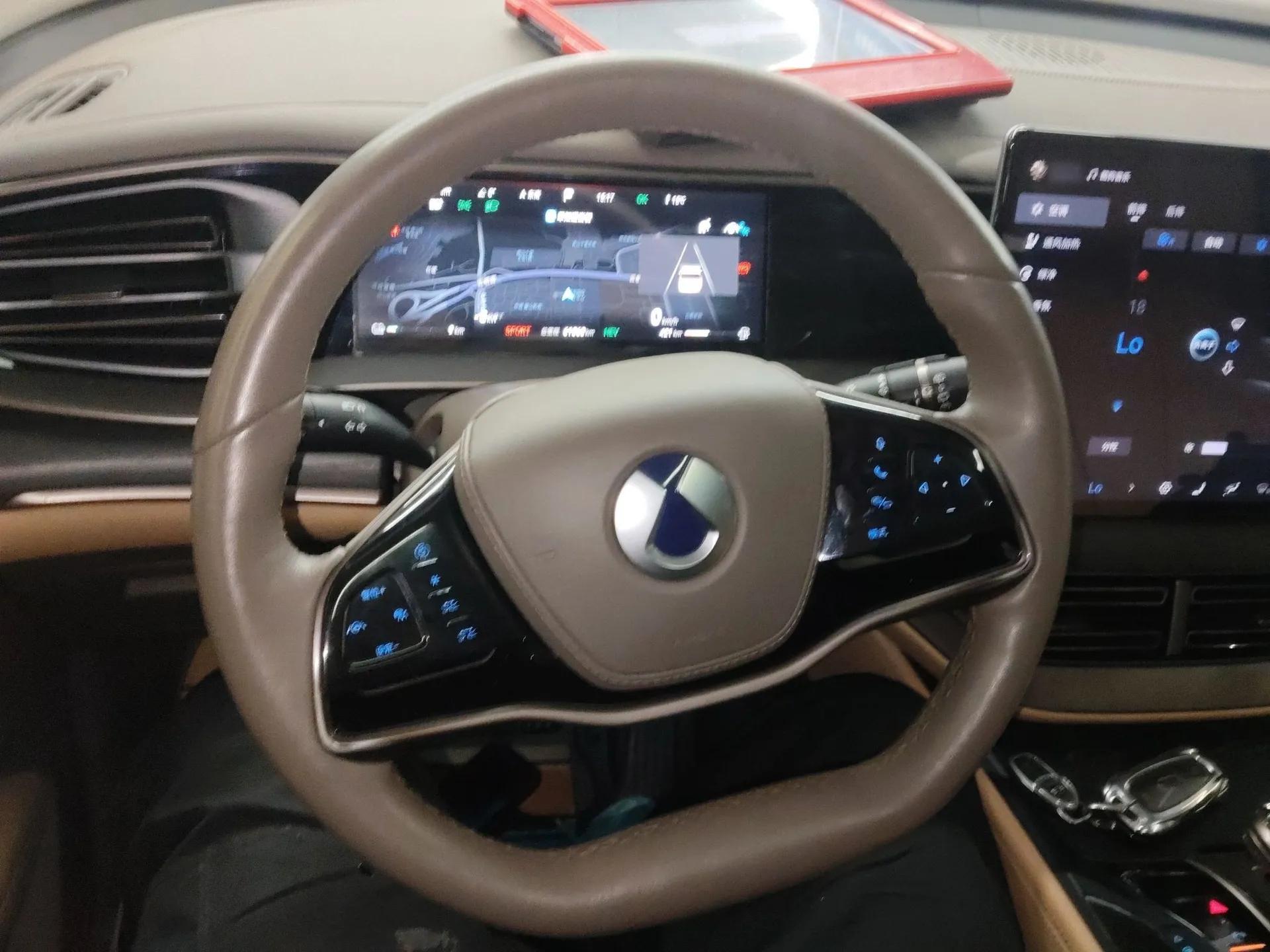 Denza D9 2022 DM-i 970 Four-Wheel Drive Prestige Model — миниатюра 14