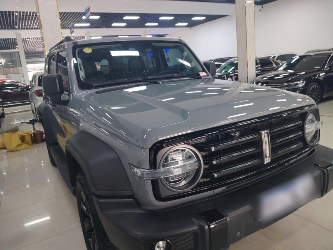 Tank 300 2021 Off-Road Edition 2.0T Conqueror — миниатюра 3
