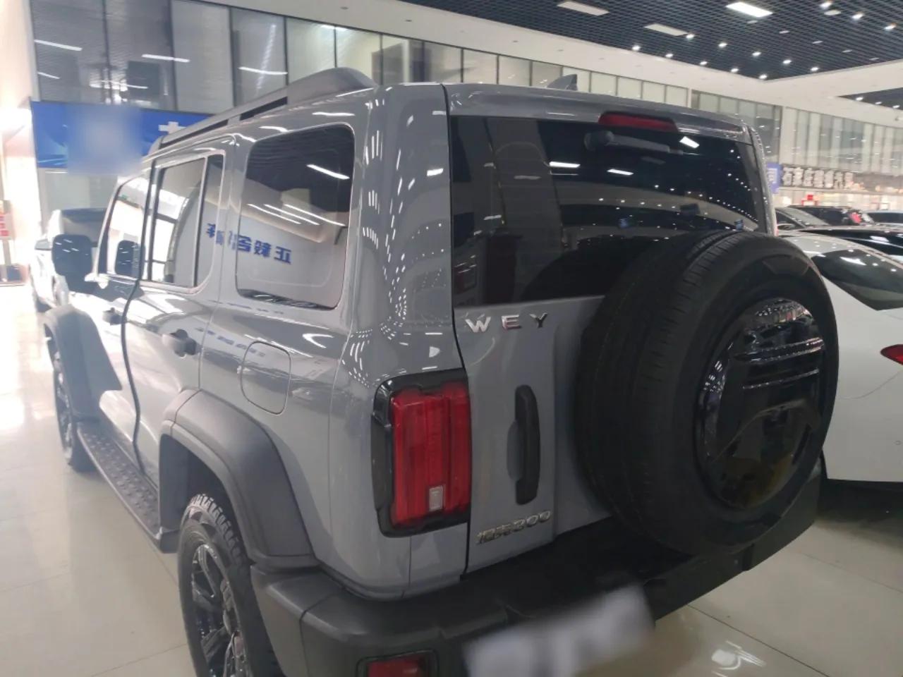 Tank 300 2021 Off-Road Edition 2.0T Conqueror — миниатюра 4