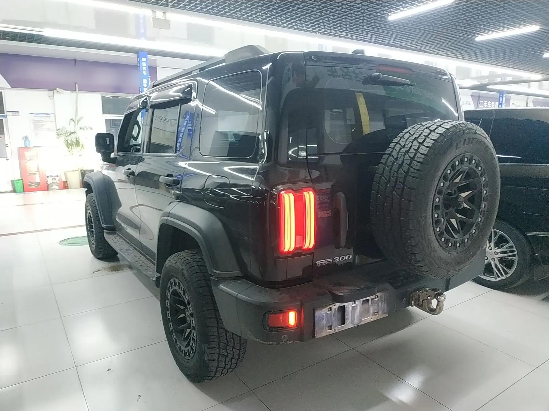 Tank 300 2021 Off-Road Edition 2.0T Conqueror — миниатюра 4