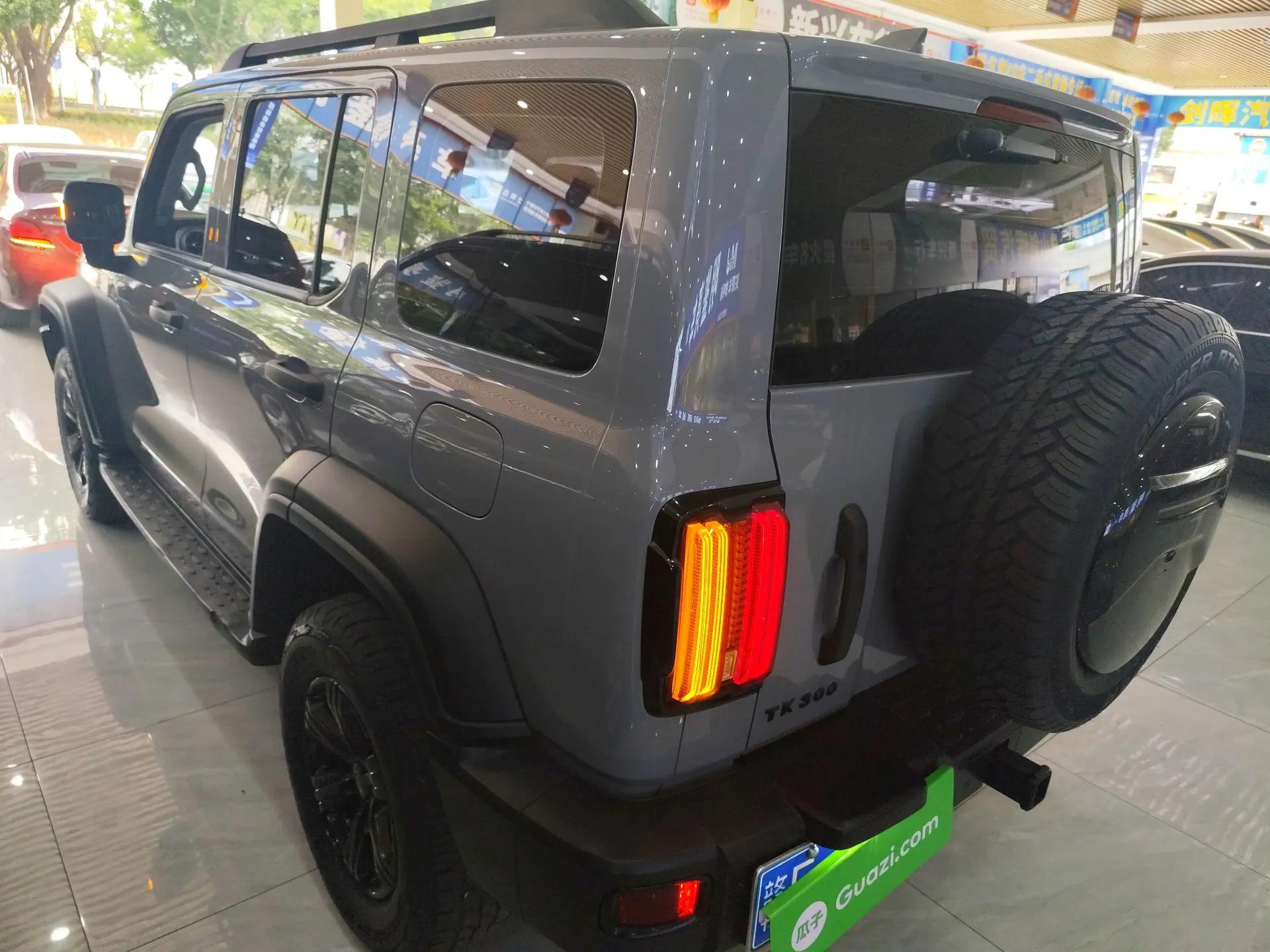 Tank 300 2021 Off-Road Edition 2.0T Conqueror — миниатюра 7
