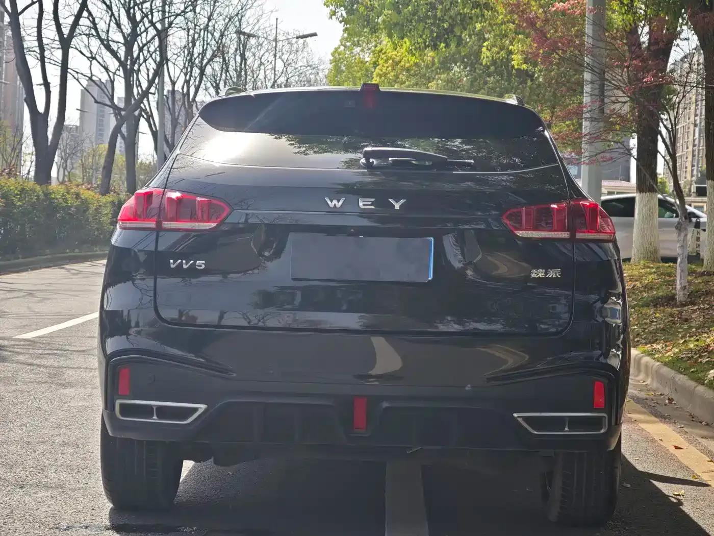 Wey VV5 2020 1.5T 2WD Smart Pioneer — миниатюра 5