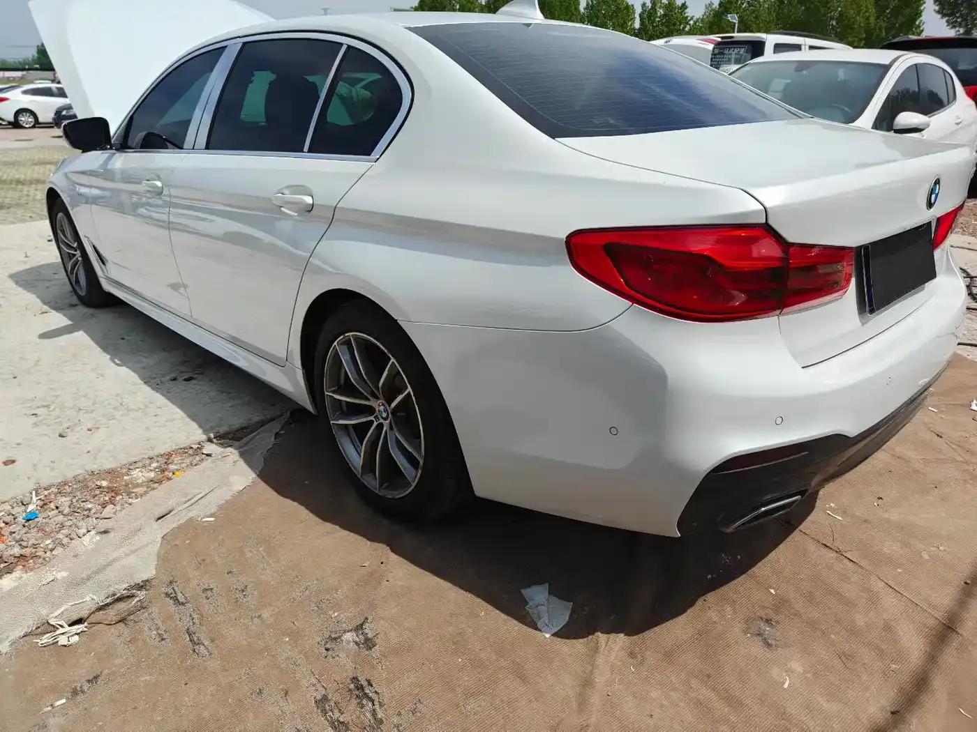 2020 BMW 5 Series 525Li M Sport Package — миниатюра 7
