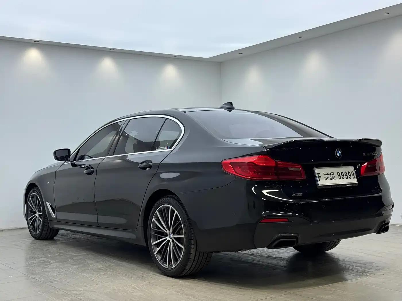 2020 BMW 5 Series 530Li xDrive M Sport Package — миниатюра 7
