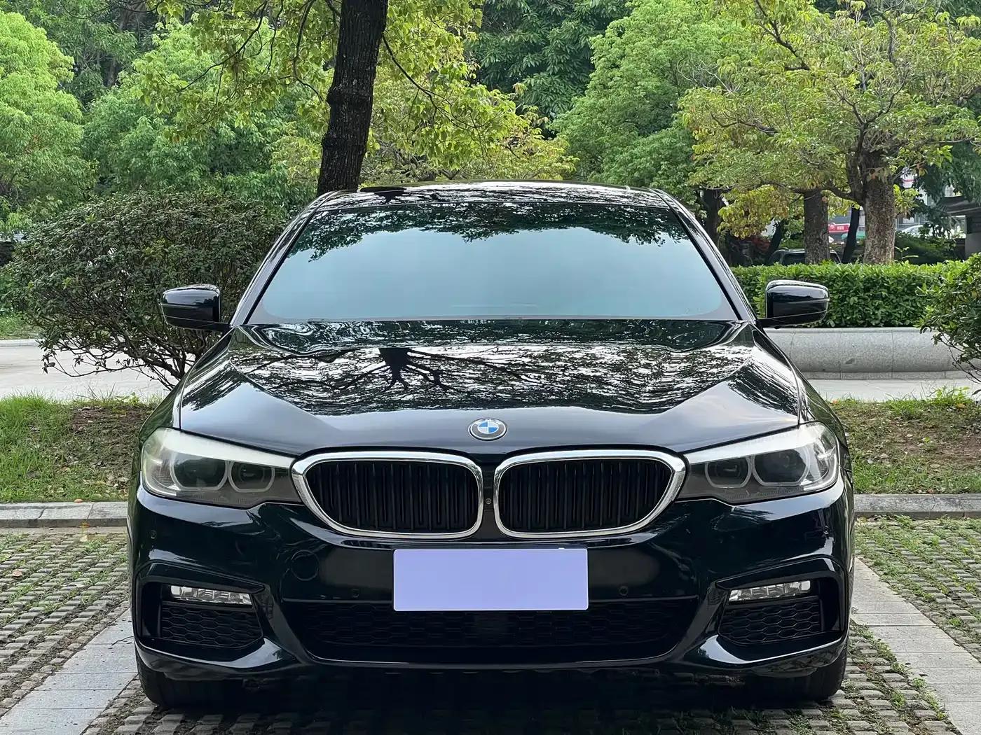 2018 BMW 5 Series 530Li xDrive M Sport Package — миниатюра 3