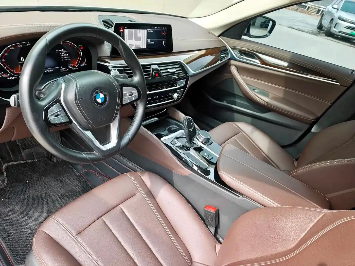 2020 BMW 5 Series 525Li Luxury Package — миниатюра 13
