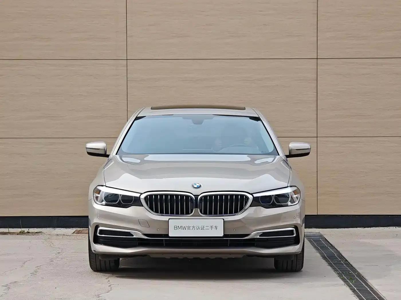2020 BMW 5 Series 525Li Luxury Package — миниатюра 3
