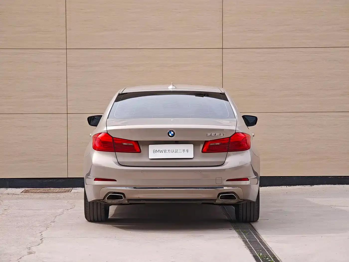 2020 BMW 5 Series 525Li Luxury Package — миниатюра 4