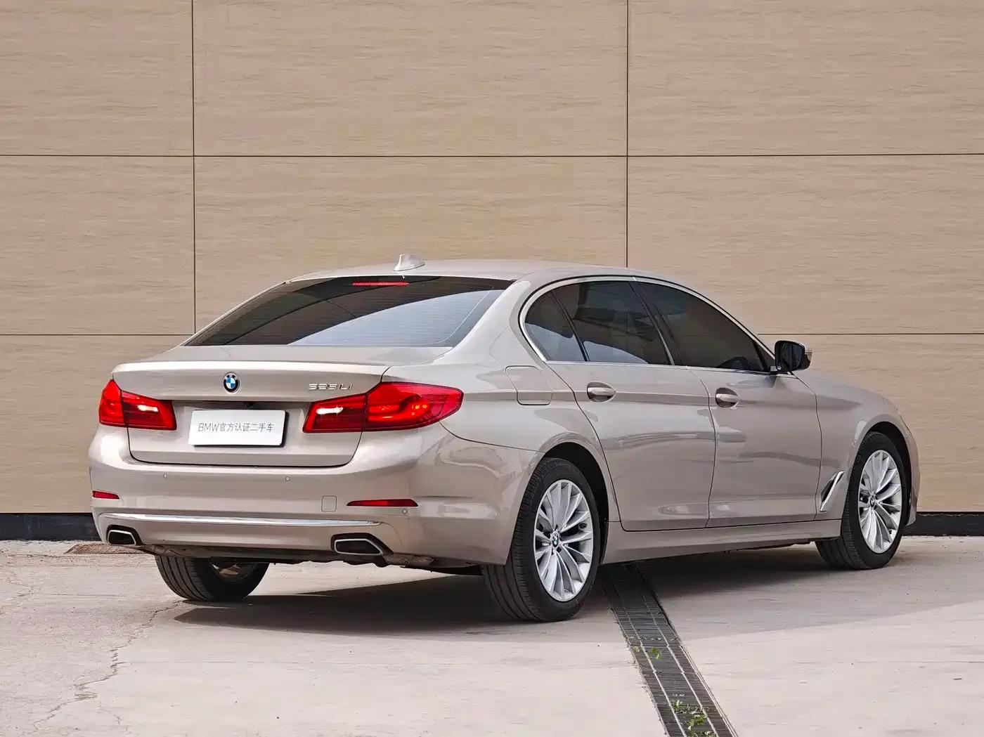 2020 BMW 5 Series 525Li Luxury Package — миниатюра 5