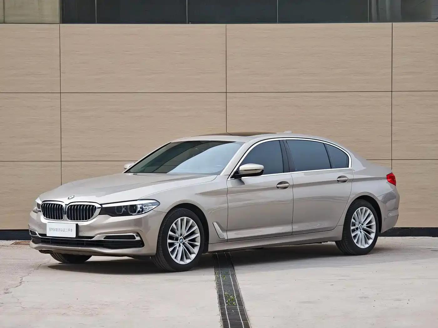 2020 BMW 5 Series 525Li Luxury Package — миниатюра 6