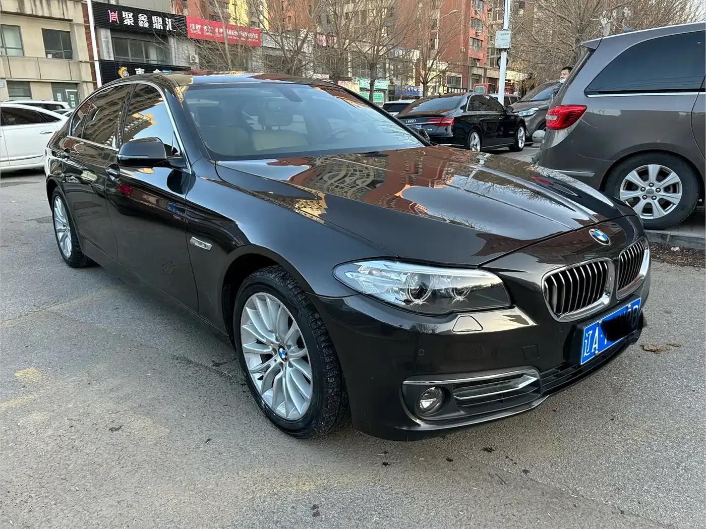2014 BMW 5 Series 525Li Luxury Design Package — миниатюра 3