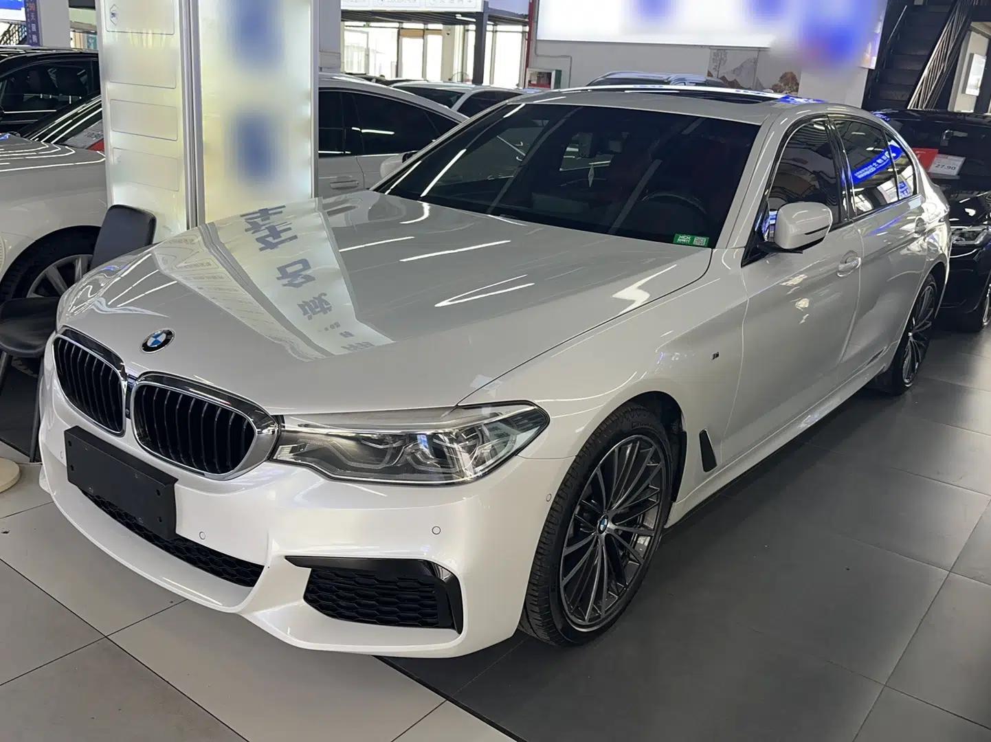 BMW 5 Series 2019 Restyled 530Li Luxury Edition M Sport Package — миниатюра 1