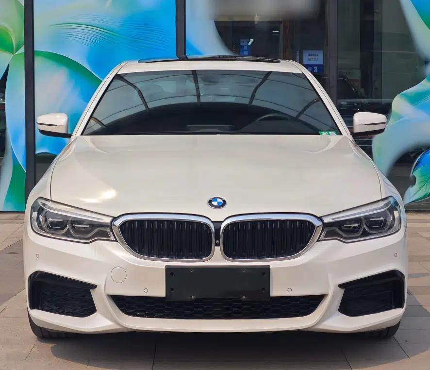 BMW 5 Series 2019 Restyled 530Li Luxury Edition M Sport Package — миниатюра 3