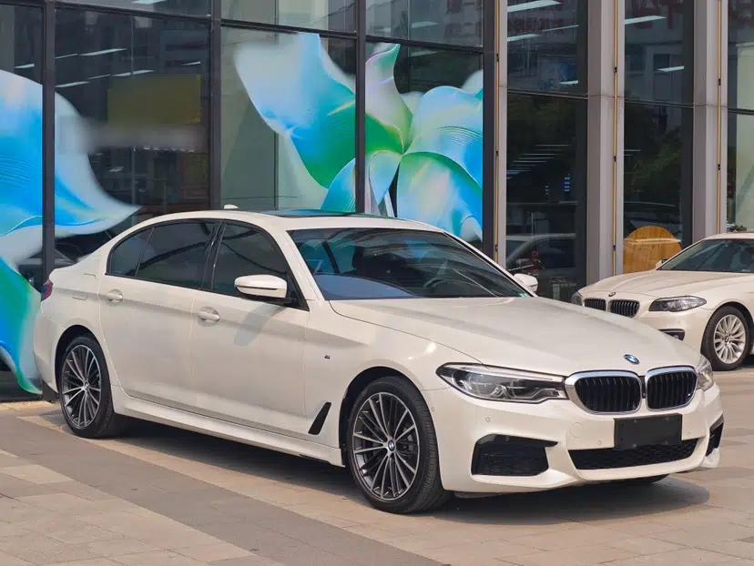 BMW 5 Series 2019 Restyled 530Li Luxury Edition M Sport Package — миниатюра 4