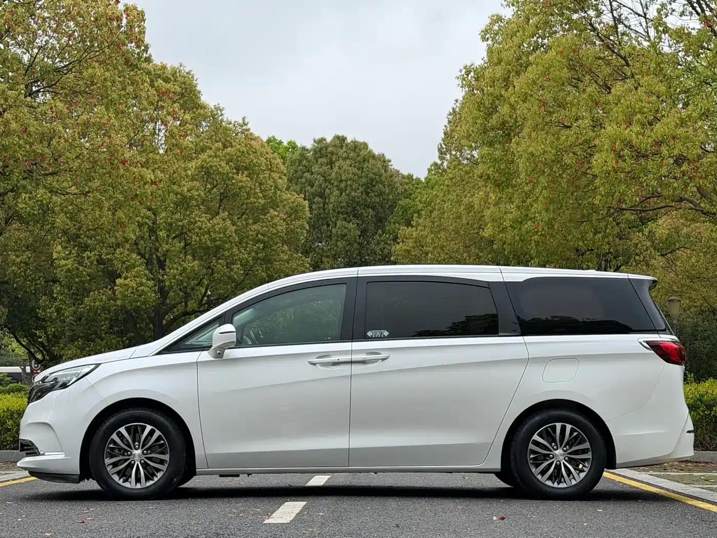 Buick GL8 2021 ES Avantgarde 653T Comfort — миниатюра 7