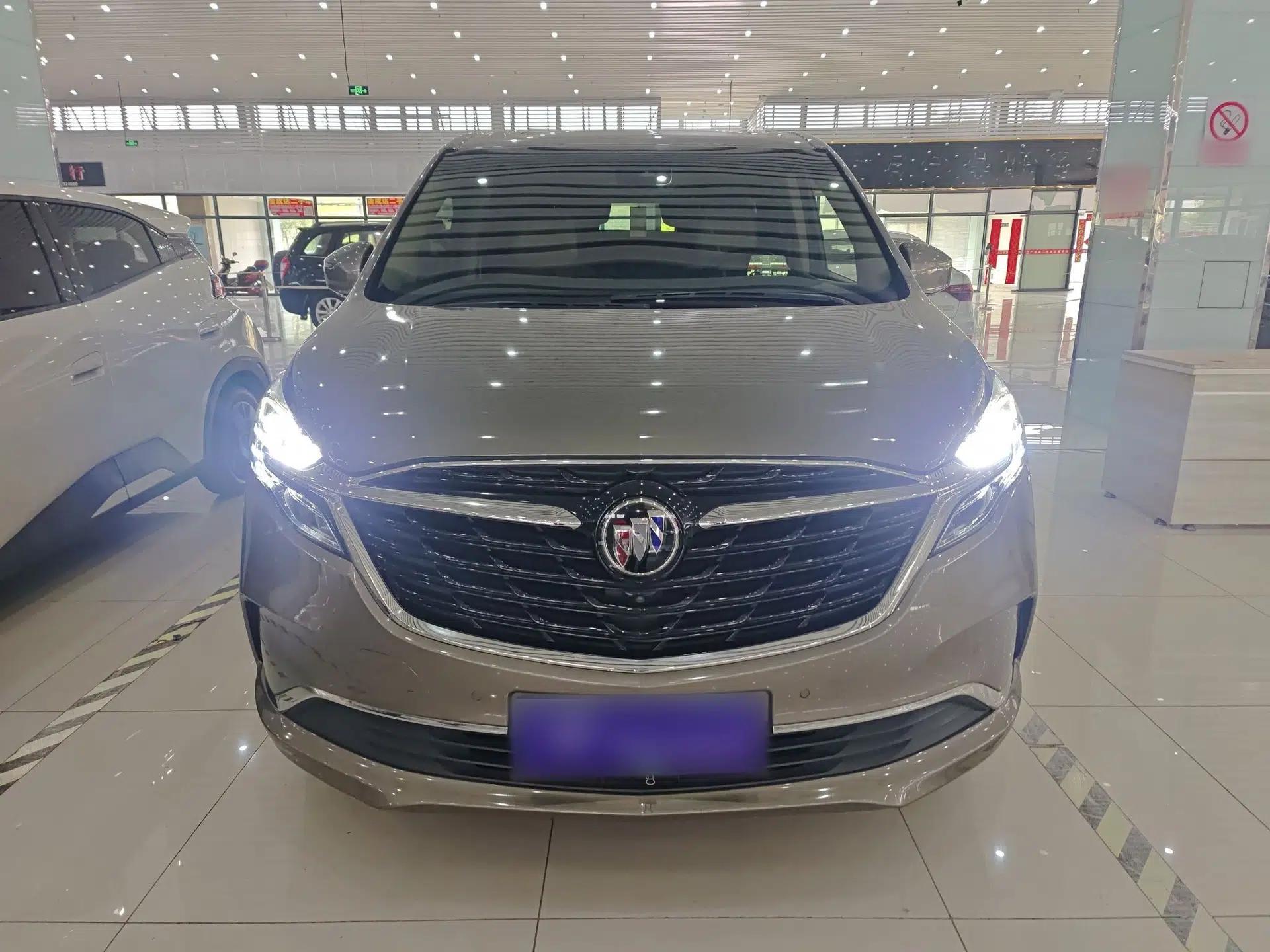 Buick GL8 2020 ES Land Cruiser 653T Luxury Model — миниатюра 2