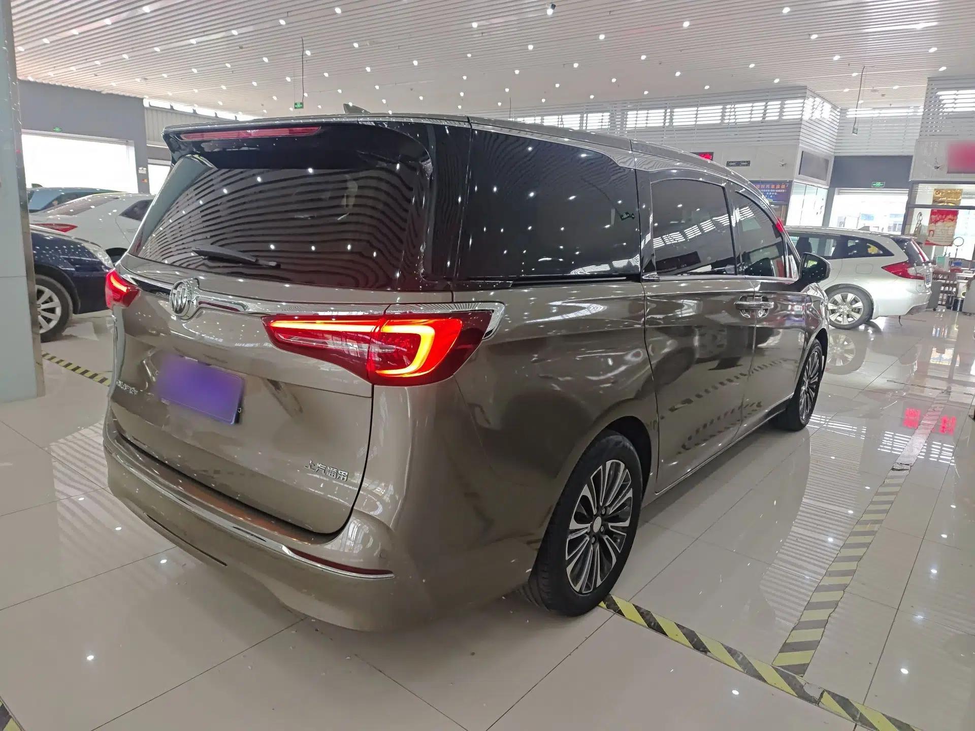 Buick GL8 2020 ES Land Cruiser 653T Luxury Model — миниатюра 6