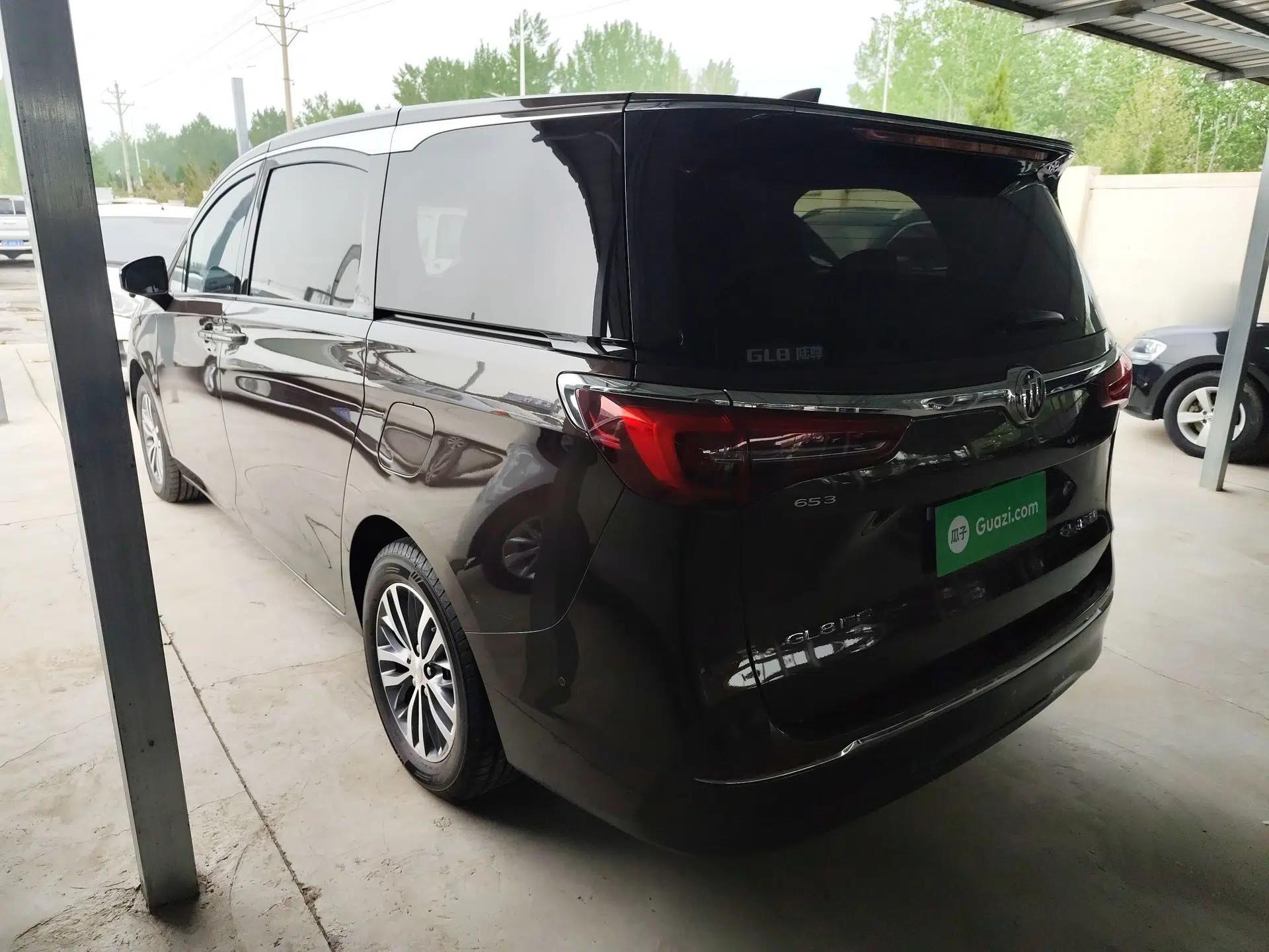 Buick GL8 2021 ES Land Cruiser 653T Luxury Edition — миниатюра 4