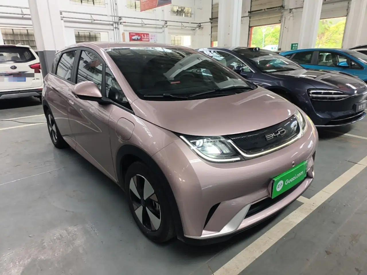 BYD Dolphin 2023 420 km Free Version — миниатюра 3