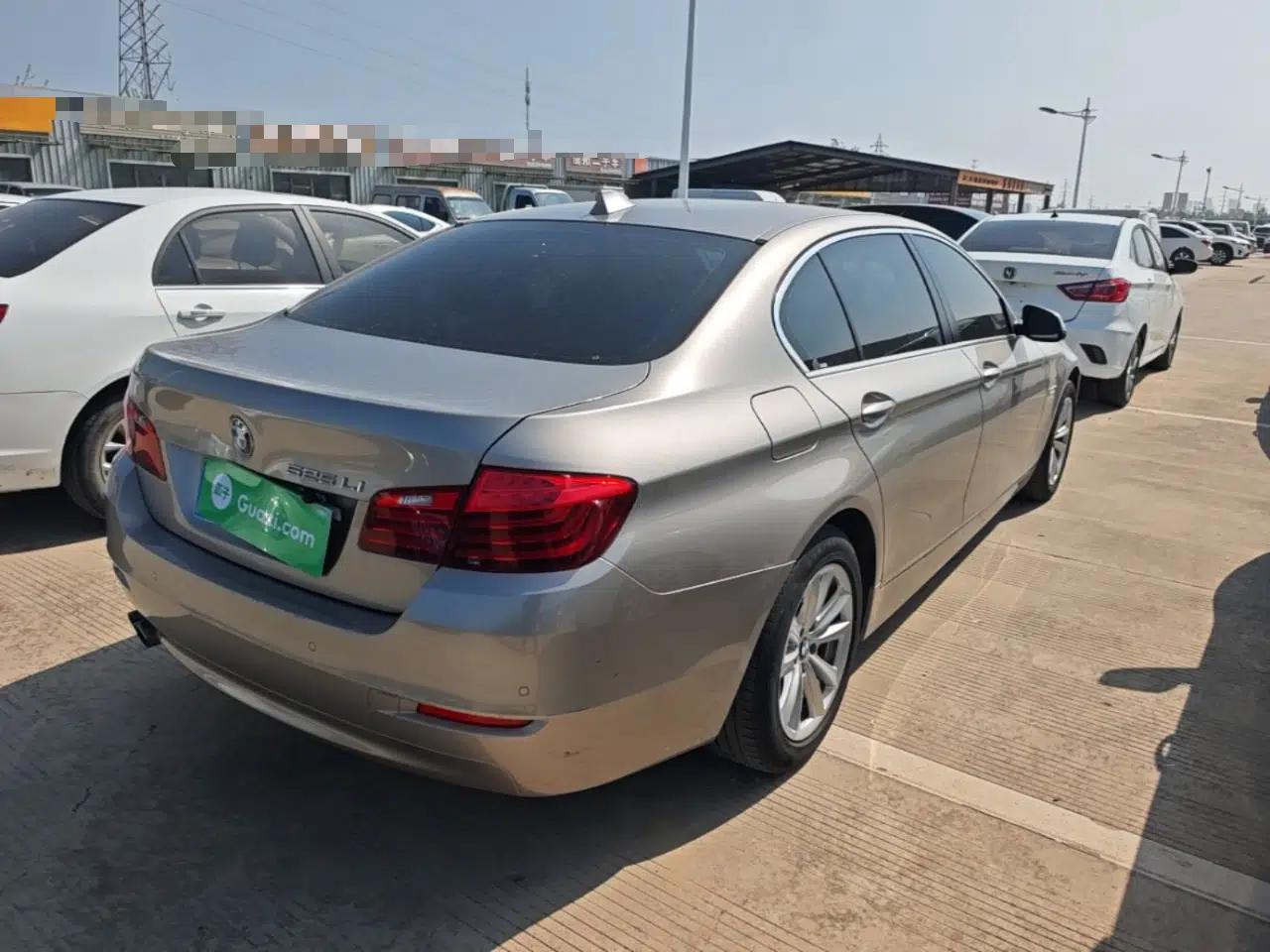 BMW 5 Series 2014 520Li Elegant Model — миниатюра 6