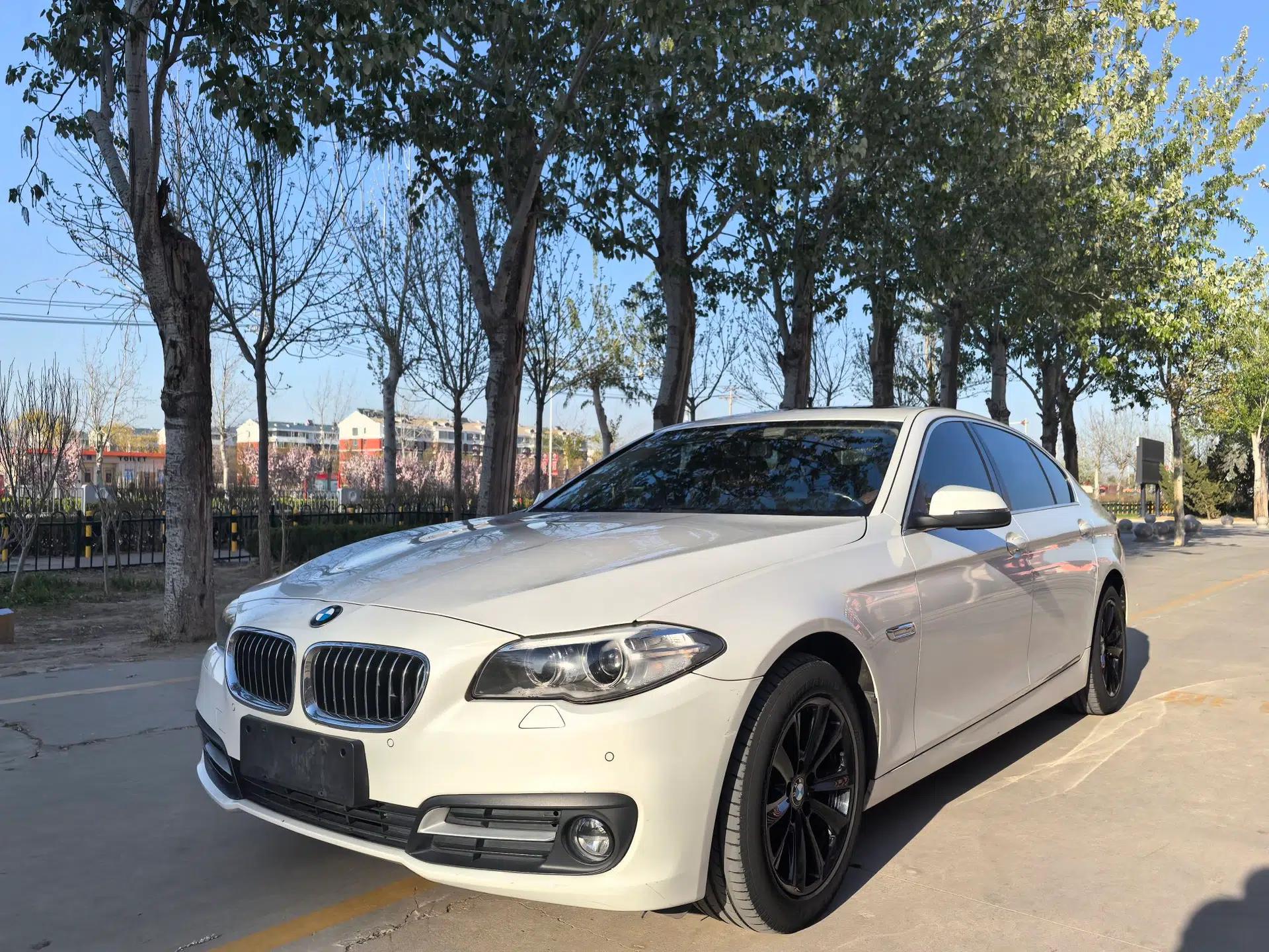 BMW 5 Series 2017 520Li Elegant Edition — миниатюра 1