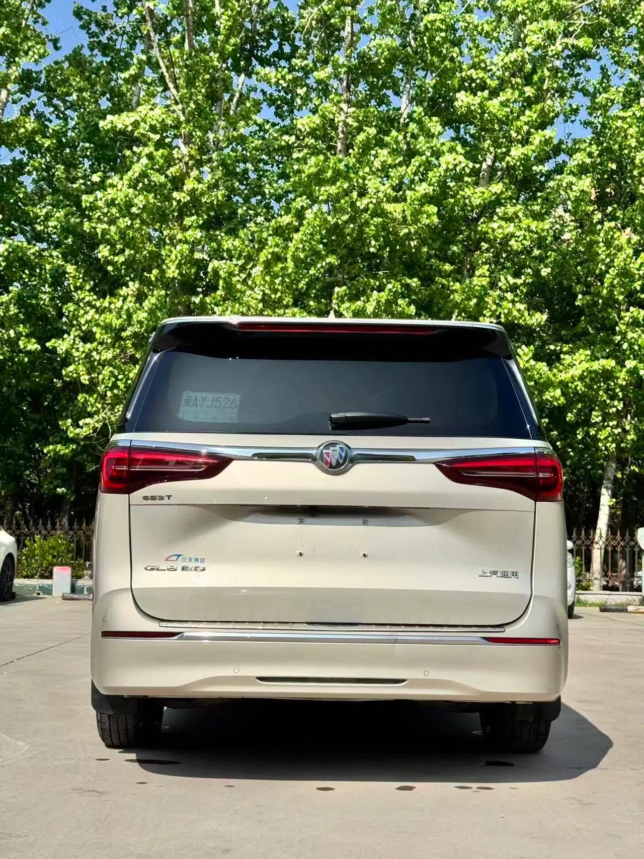 Buick GL8 2023 ES Lu Zun Comfort Model — миниатюра 7