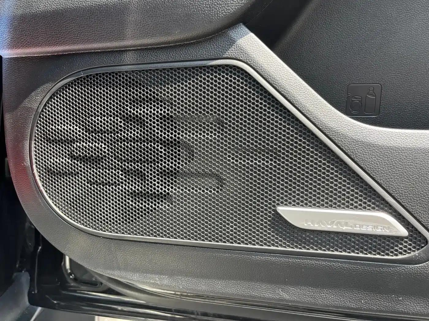 Haval Big Dog 2024 1.5T DCT Border Collie Edition — миниатюра 11