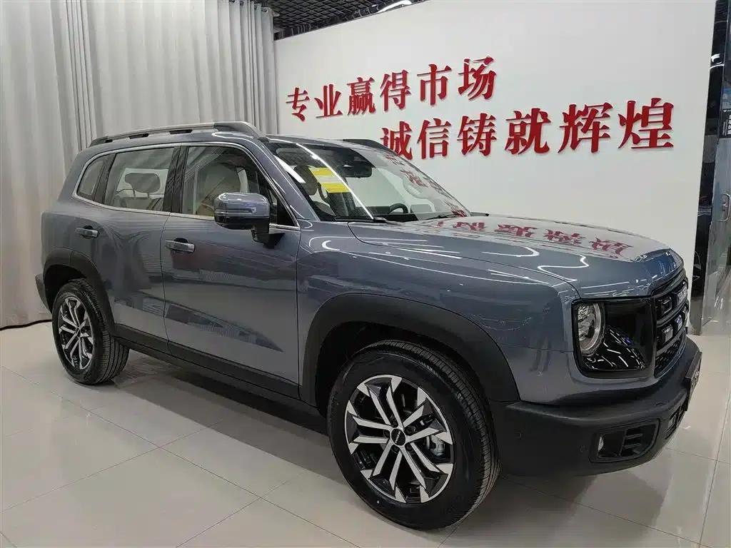 Haval Big Dog 2026 2.0T DCT Chinese Rural Dog Edition — миниатюра 3