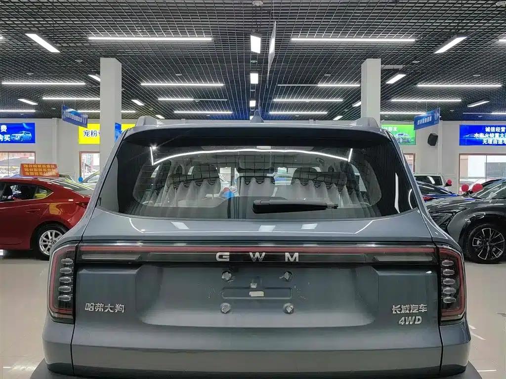 Haval Big Dog 2026 2.0T DCT Chinese Rural Dog Edition — миниатюра 5
