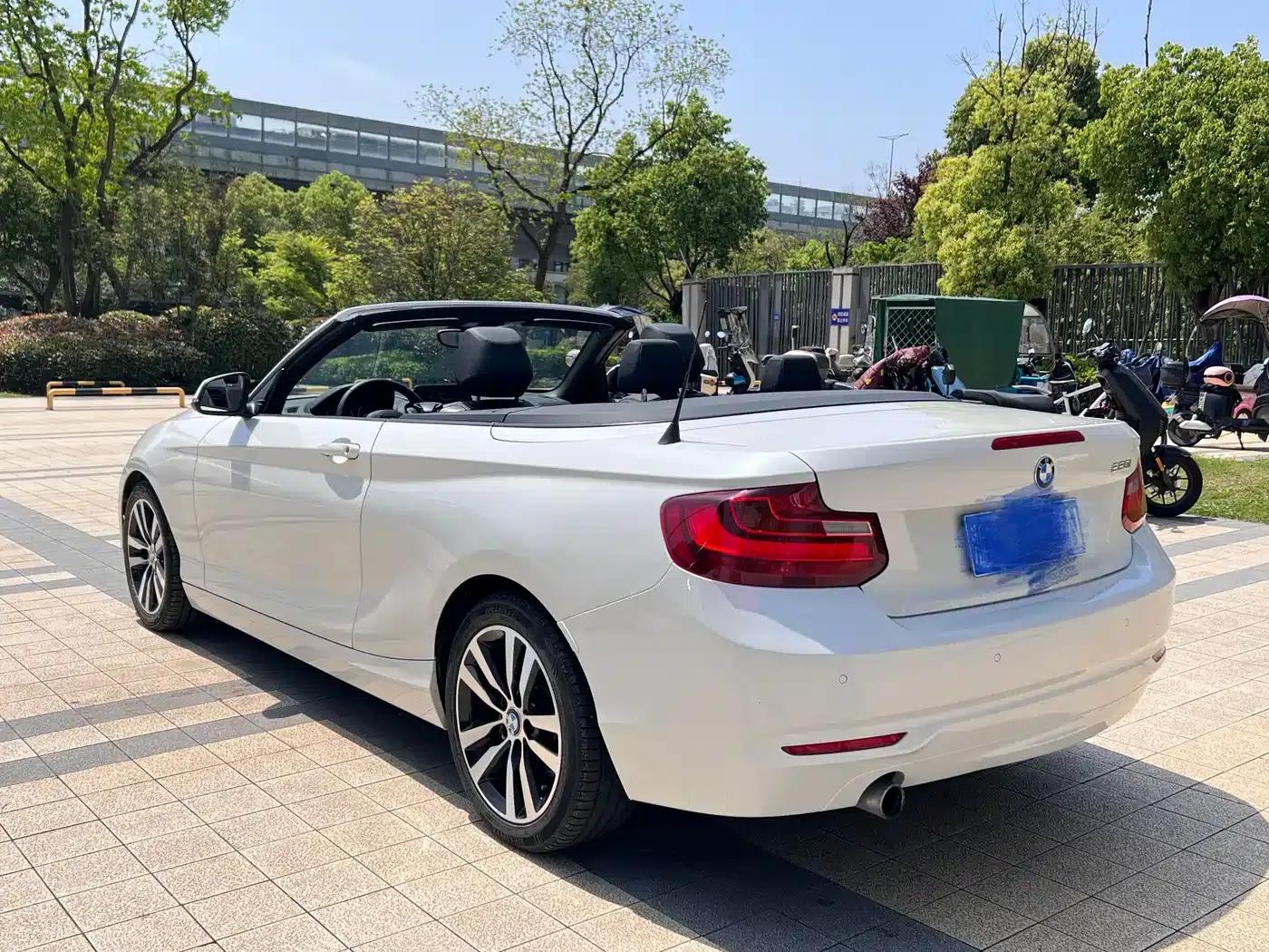 2015 BMW 2 Series Imported 220i Convertible Coupe Leading Model — миниатюра 16