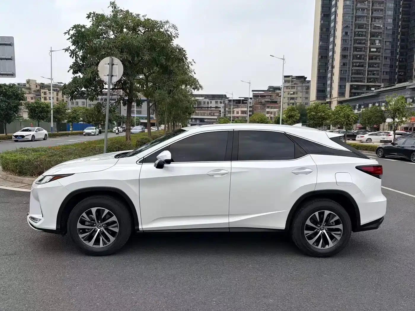 Lexus RX 2020 Facelift 300 2WD Elite Edition — миниатюра 3