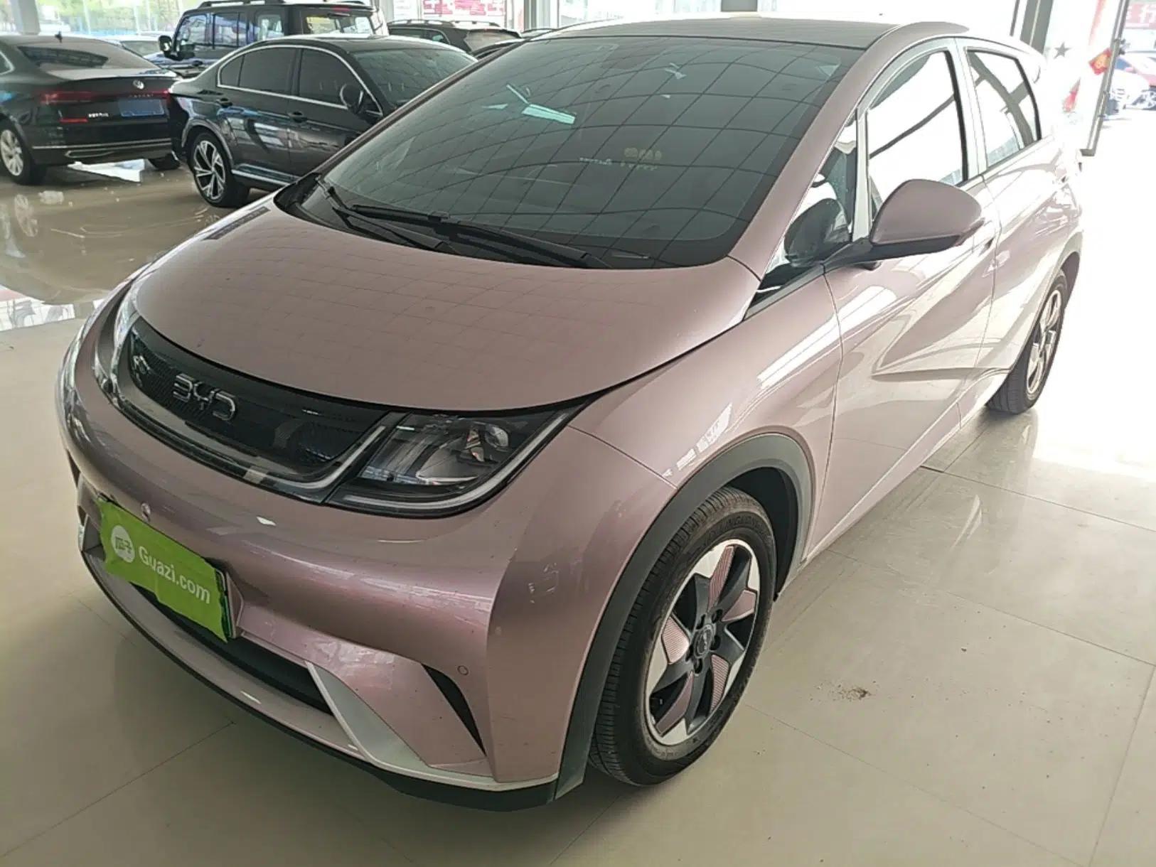 BYD Dolphin 2025 420km Fashion Edition — миниатюра 1