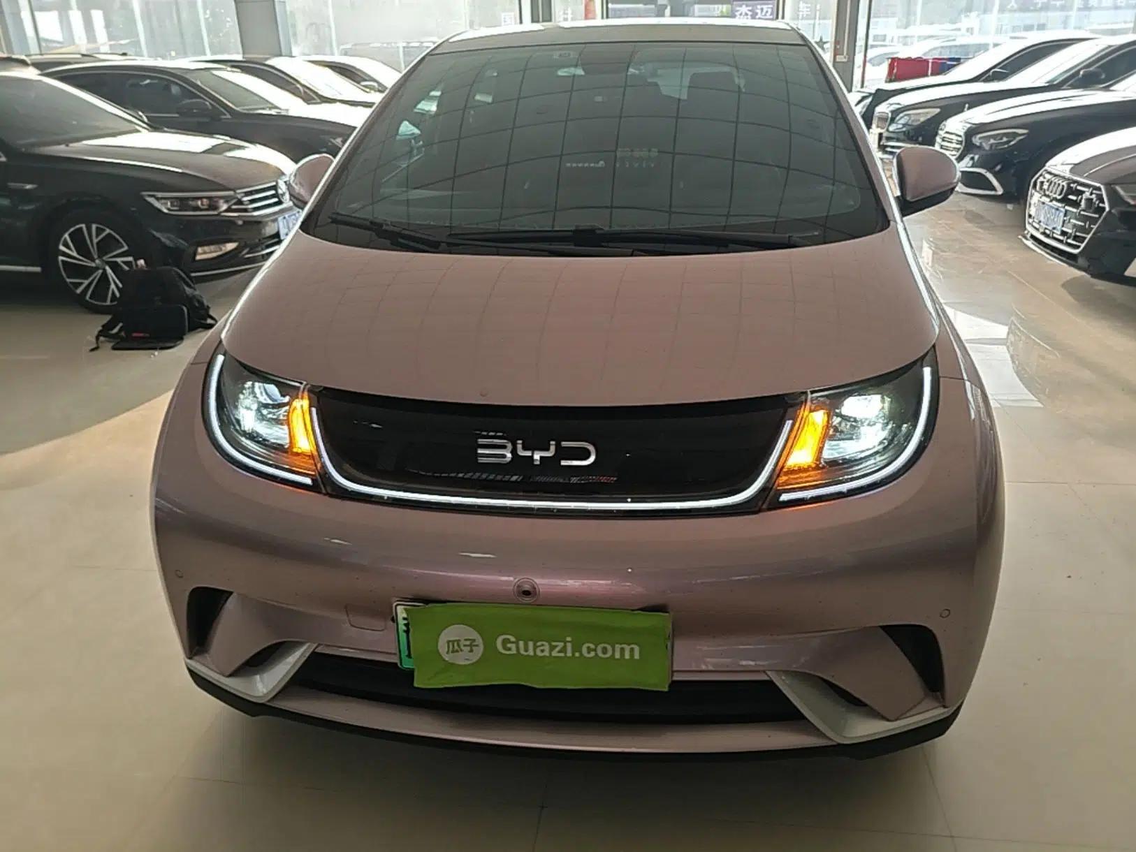 BYD Dolphin 2025 420km Fashion Edition — миниатюра 2