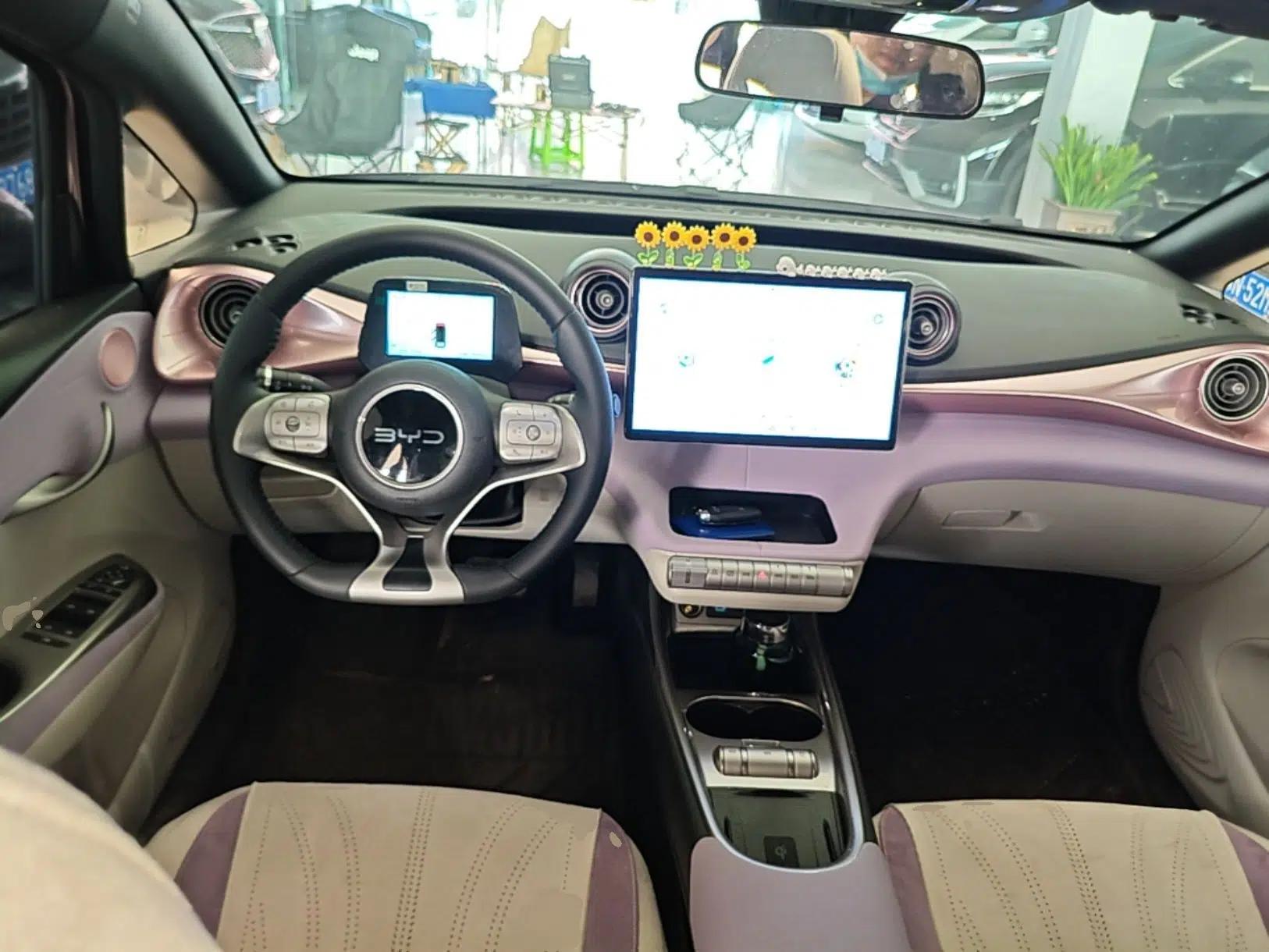BYD Dolphin 2025 420km Fashion Edition — миниатюра 13