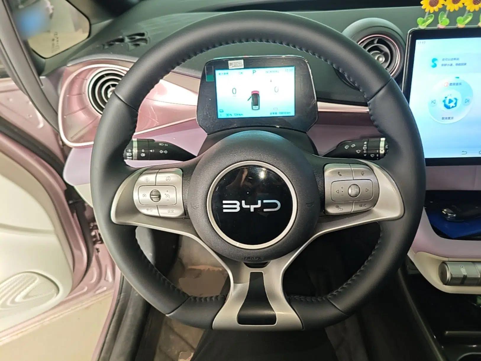 BYD Dolphin 2025 420km Fashion Edition — миниатюра 14
