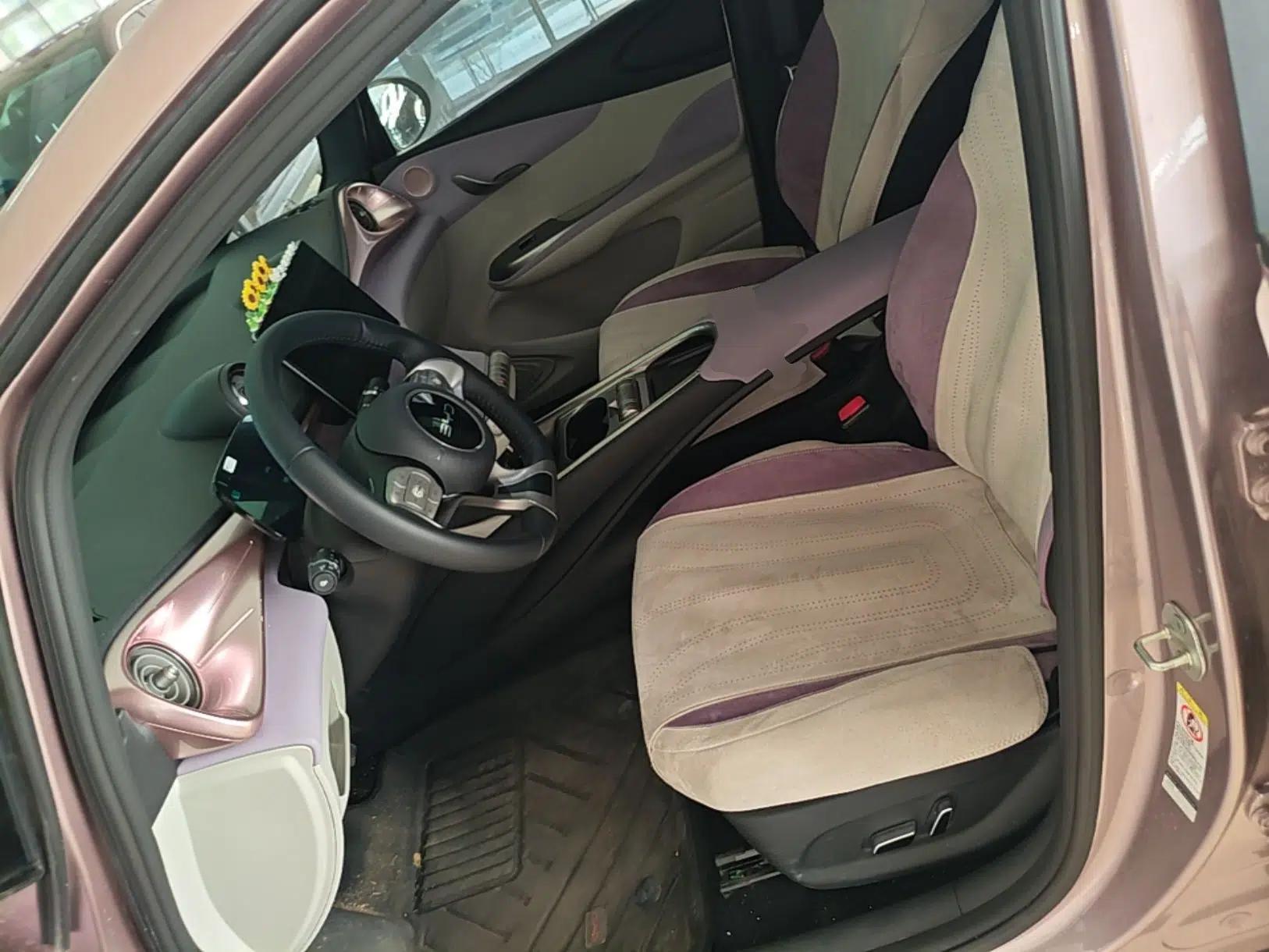 BYD Dolphin 2025 420km Fashion Edition — миниатюра 18