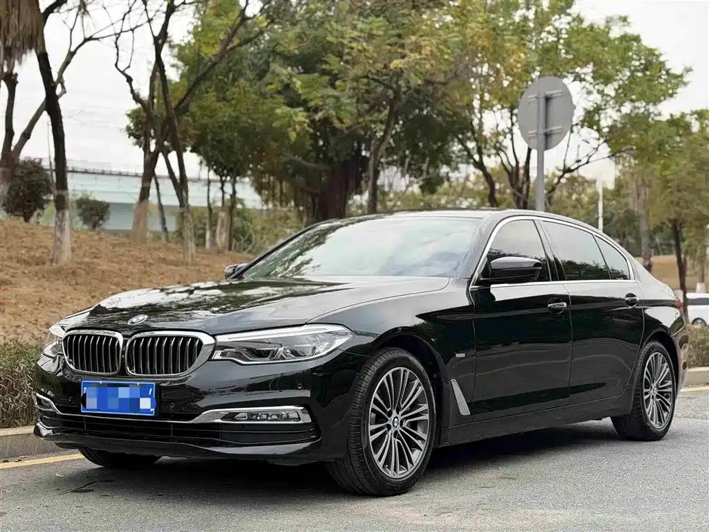 BMW 5 Series 2018 530Li Luxury Package — миниатюра 1