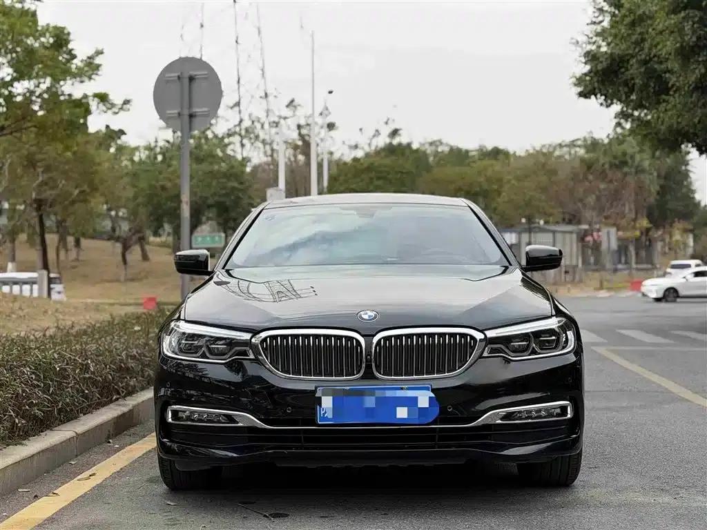 BMW 5 Series 2018 530Li Luxury Package — миниатюра 2