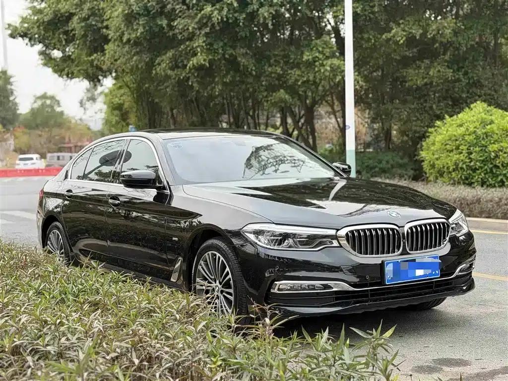 BMW 5 Series 2018 530Li Luxury Package — миниатюра 3