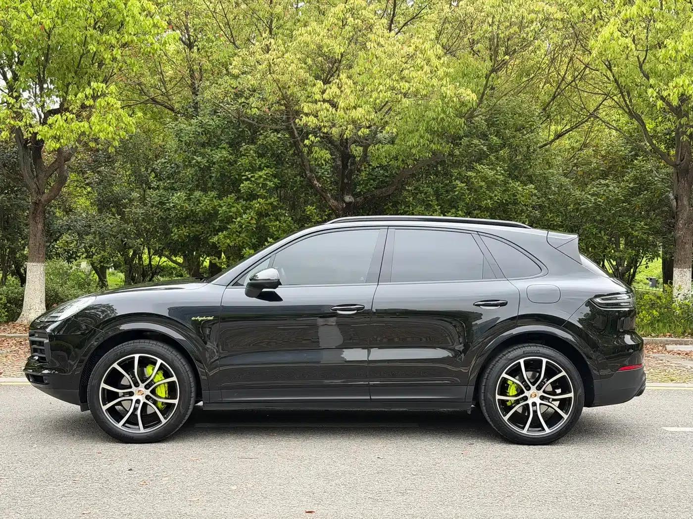 2022 Cayenne E-Hybrid 2.0T Platinum Edition — миниатюра 25