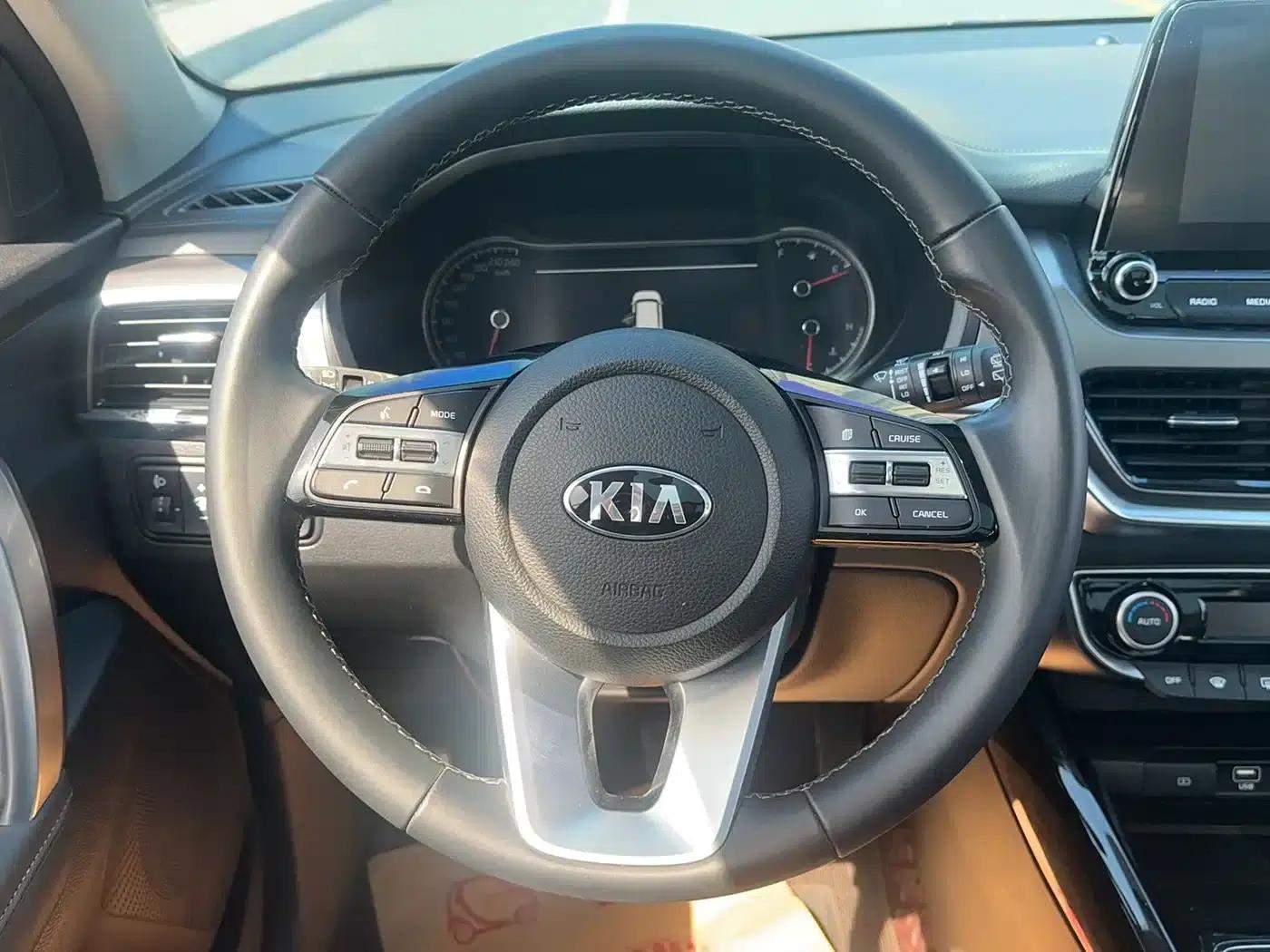 2019 Kia Sportage 2.0L Automatic Smart Luxury Edition — миниатюра 16