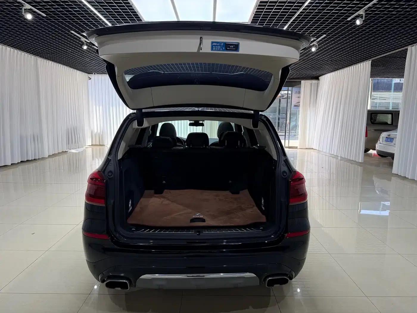 BMW X3 2020 xDrive25i Luxury Package — миниатюра 14