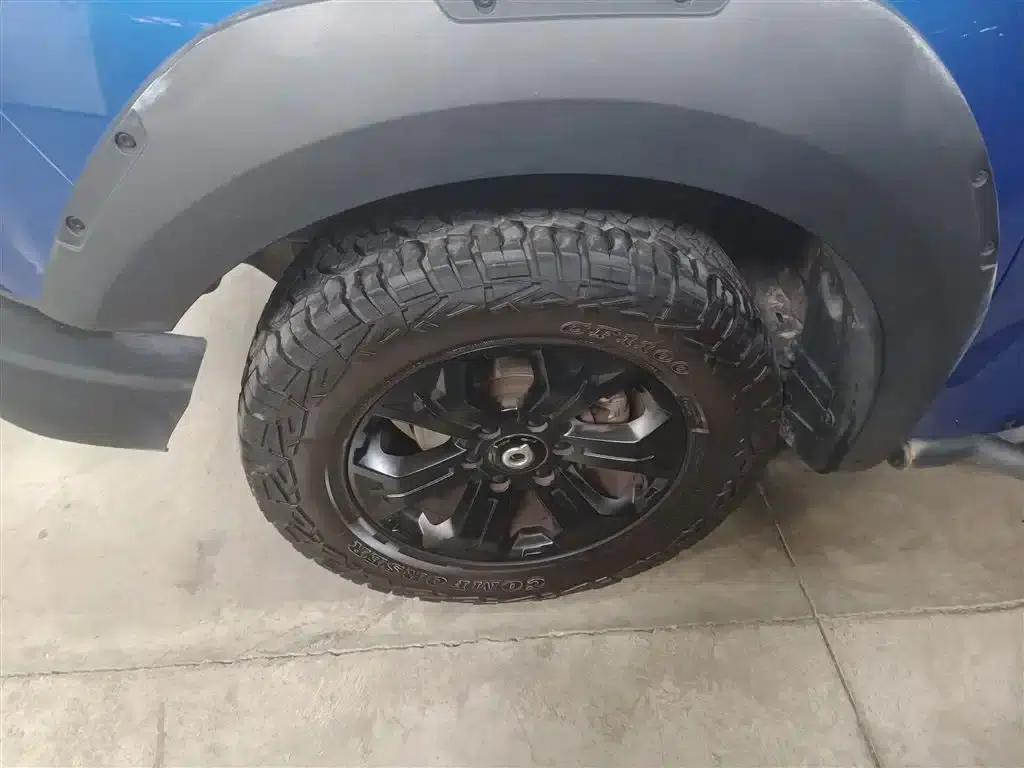 Cannon 2020 2.0T Off-Road Edition Automatic Diesel 4WD High-End Version GW4D20M — миниатюра 22