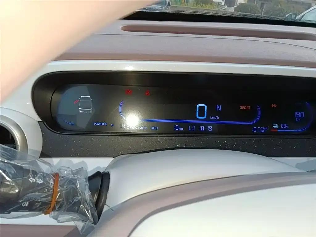 Panda 2025 Panda Mini 210km - Energetic Bear — миниатюра 12
