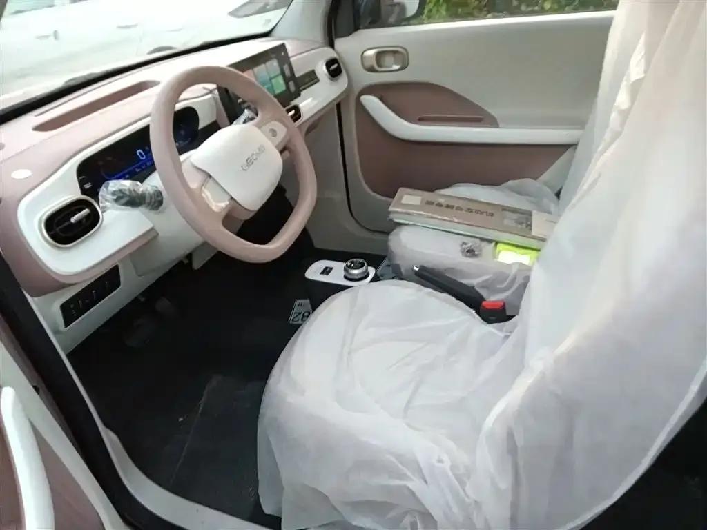 Panda 2025 Panda Mini 210km - Energetic Bear — миниатюра 15