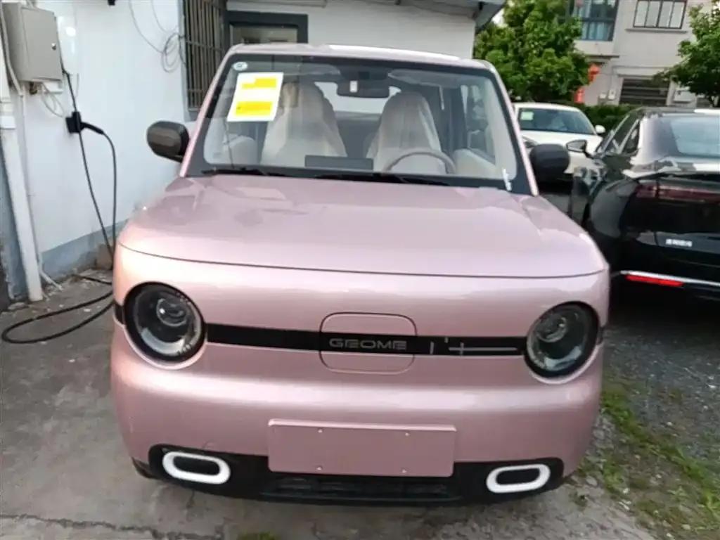Panda 2025 Panda Mini 210km - Energetic Bear — миниатюра 3